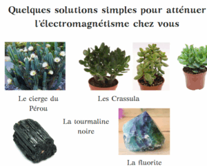 Les pierres et plantes électromagnétisme